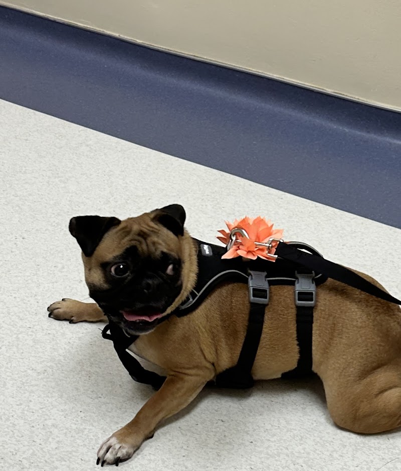 Sugar Land Pet Hospital