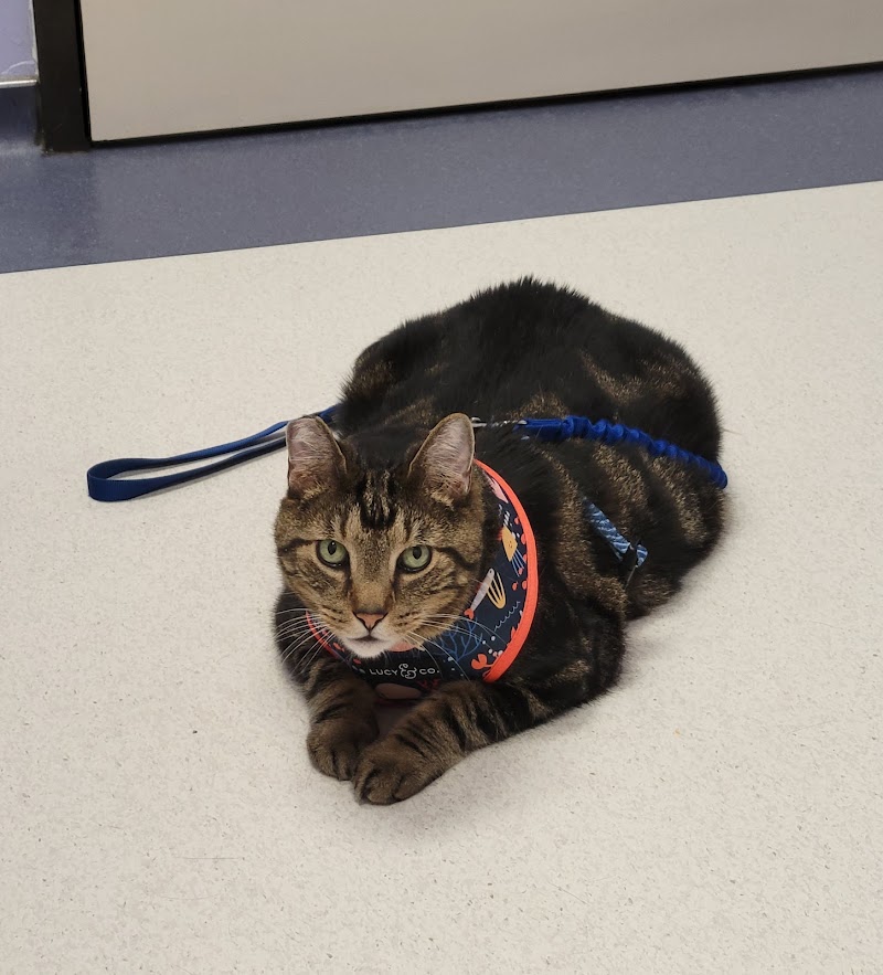 Sugar Land Pet Hospital