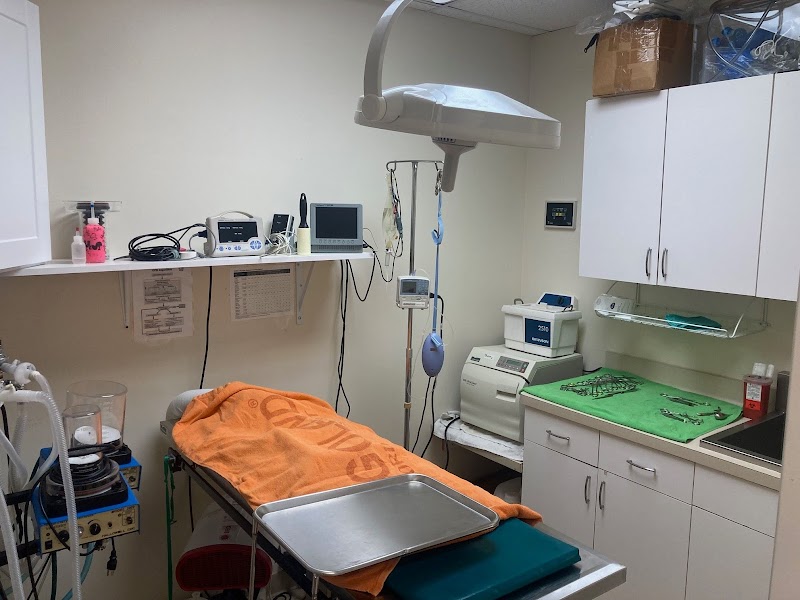 Intown Animal Hospital