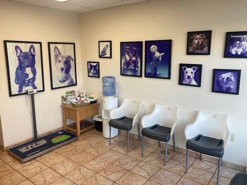 Intown Animal Hospital