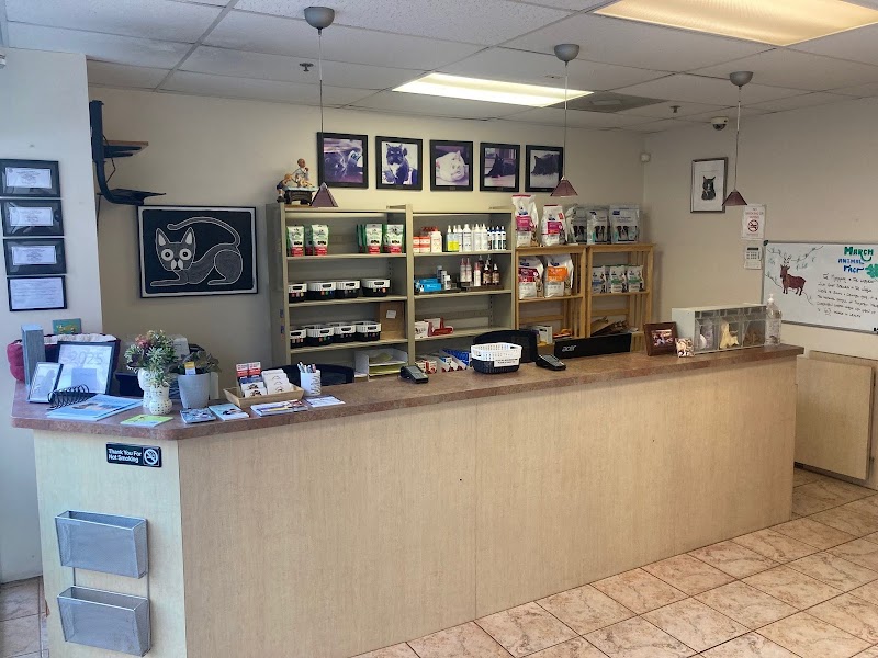 Intown Animal Hospital