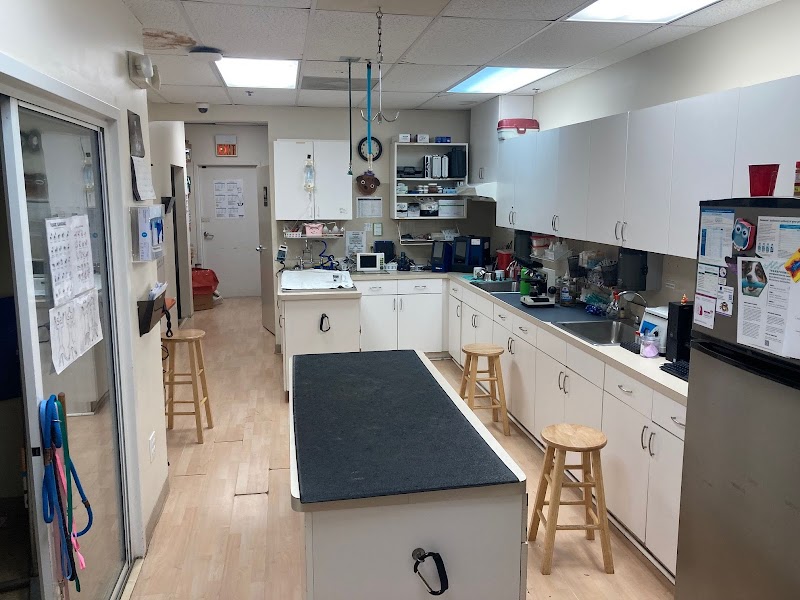 Intown Animal Hospital