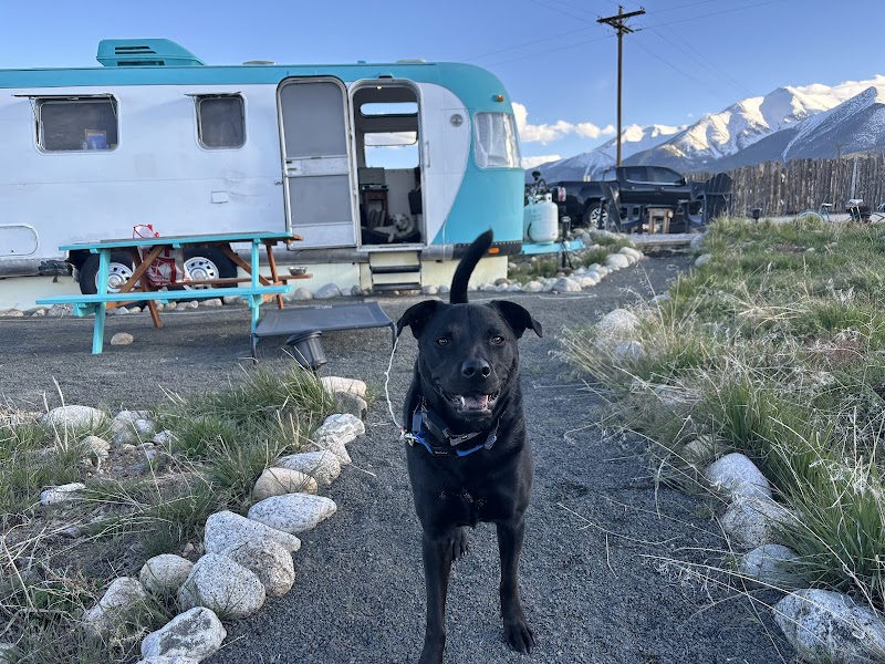 Big Thompson Animal Hospital