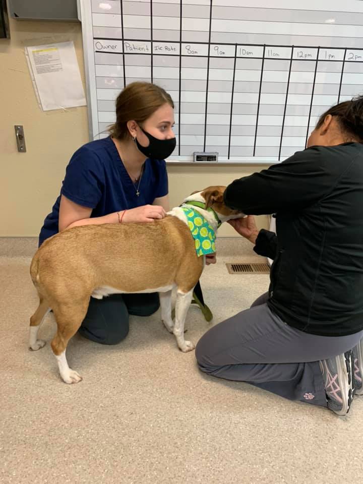Big Thompson Animal Hospital