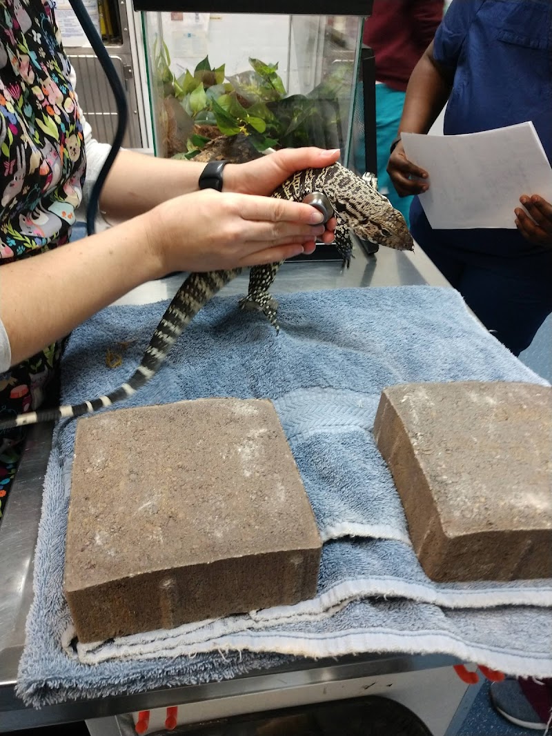 Berkeley Dog & Cat Hospital - Berkeley
