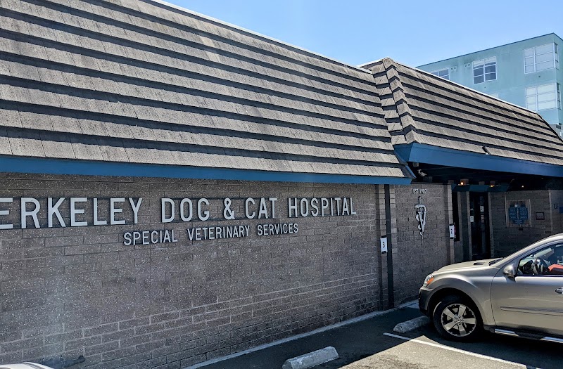 Berkeley Dog & Cat Hospital