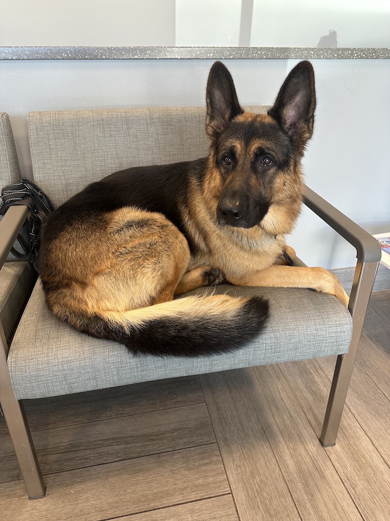 BluePearl Pet Hospital - Lakewood