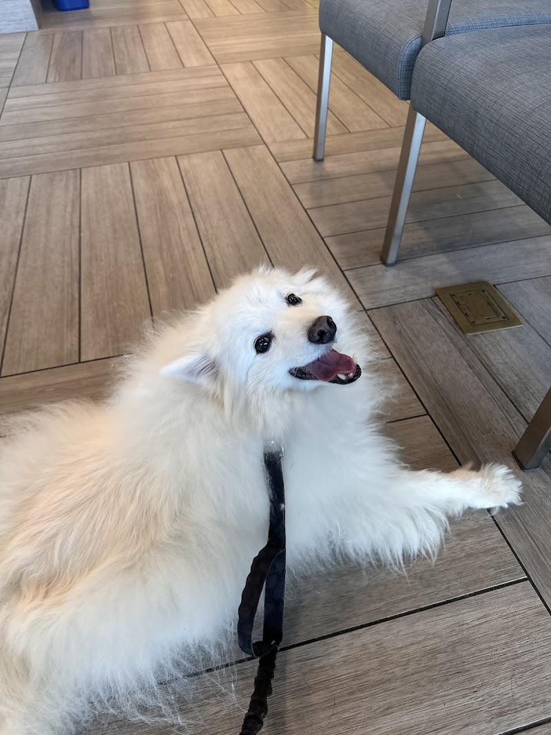 BluePearl Pet Hospital