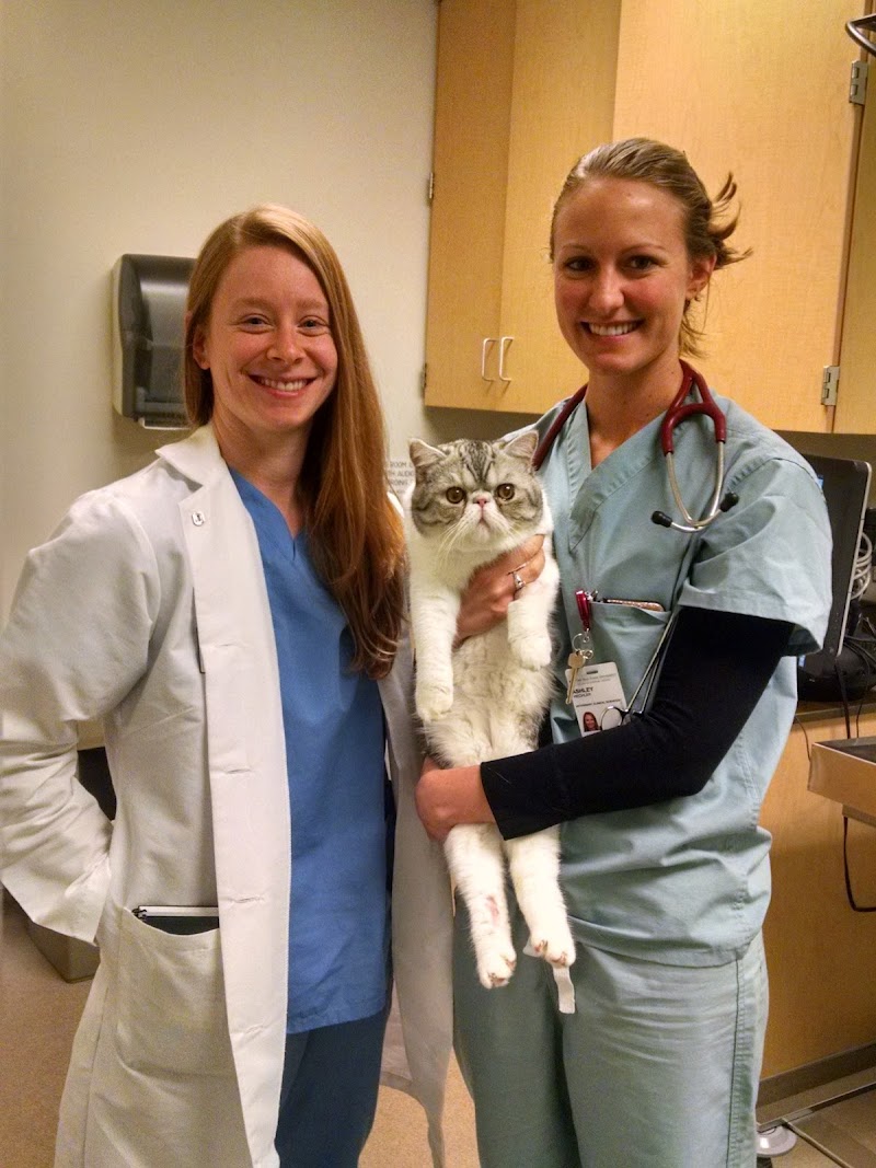 The Ohio State University College of Veterinary Medicine