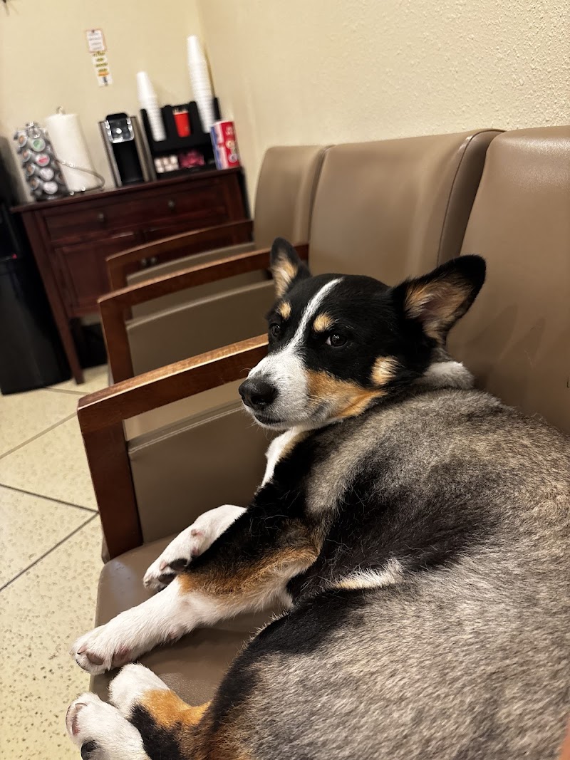 Emergency Pet Care of Texas