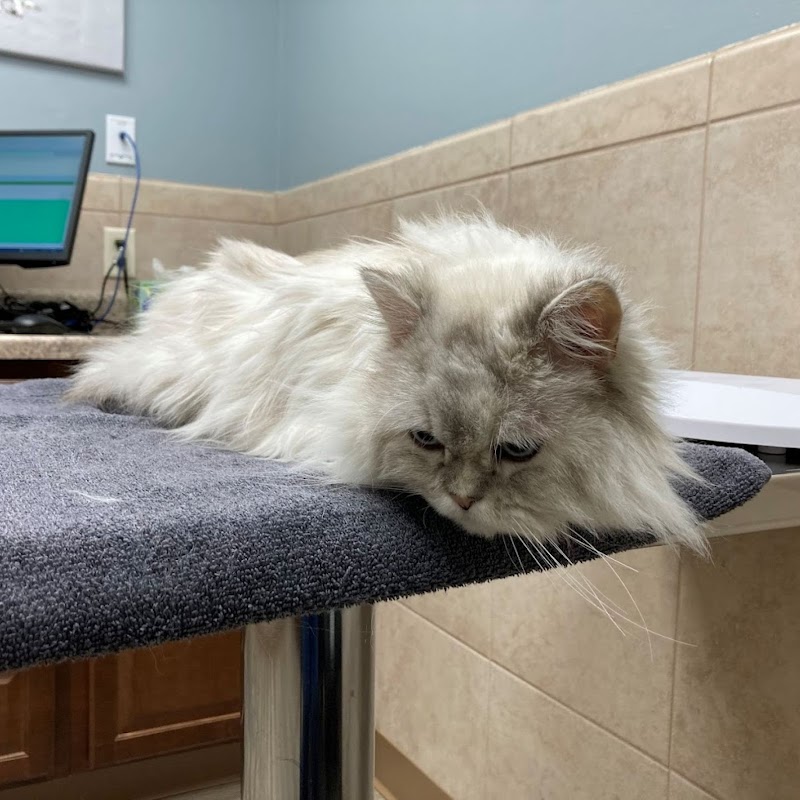 Northbrook Animal Hospital