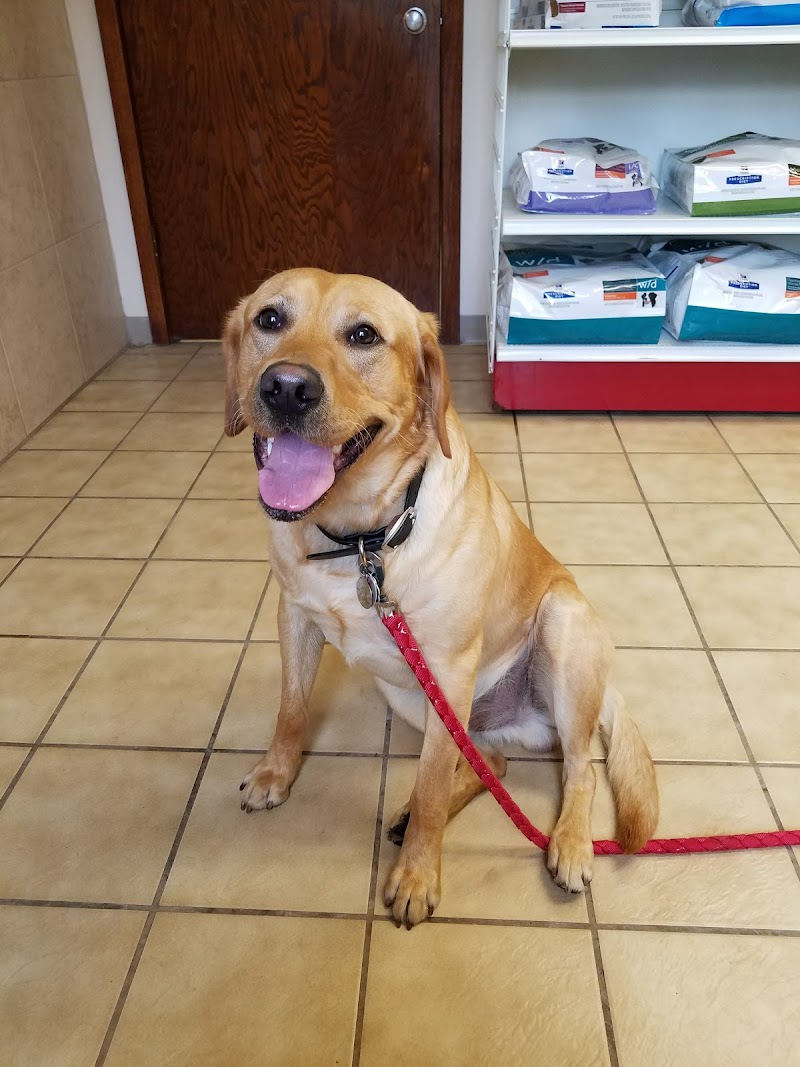 Northbrook Animal Hospital