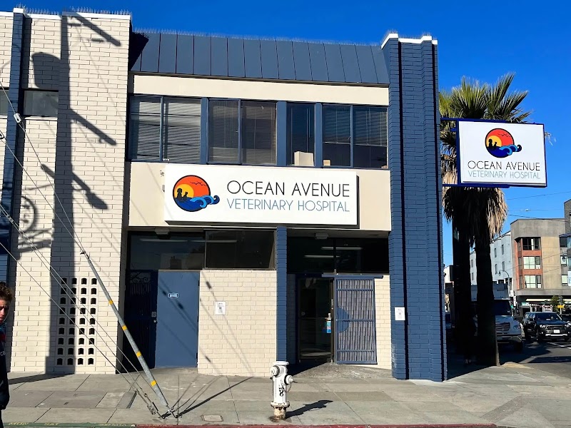 Ocean Avenue Veterinary Hospital
