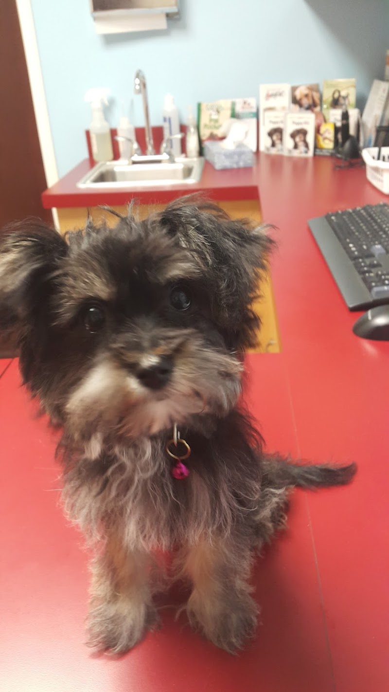 Ocean Avenue Veterinary Hospital