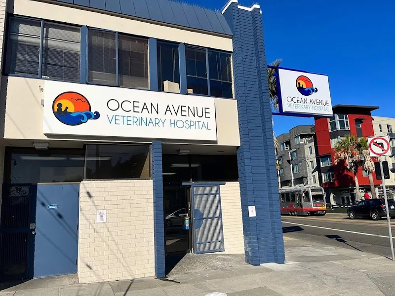 Ocean Avenue Veterinary Hospital