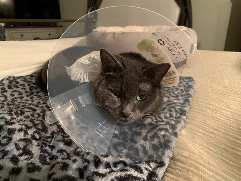 Ocean Avenue Veterinary Hospital