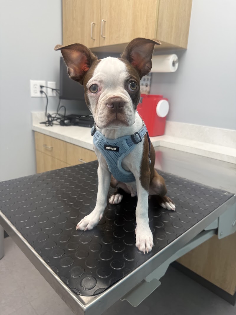 Crosby Veterinary Clinic