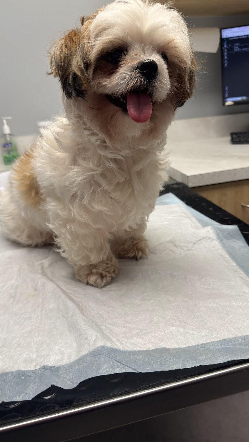 Crosby Veterinary Clinic