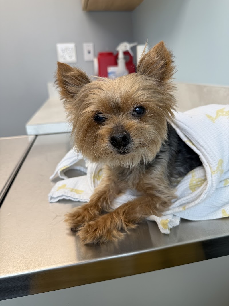 Crosby Veterinary Clinic