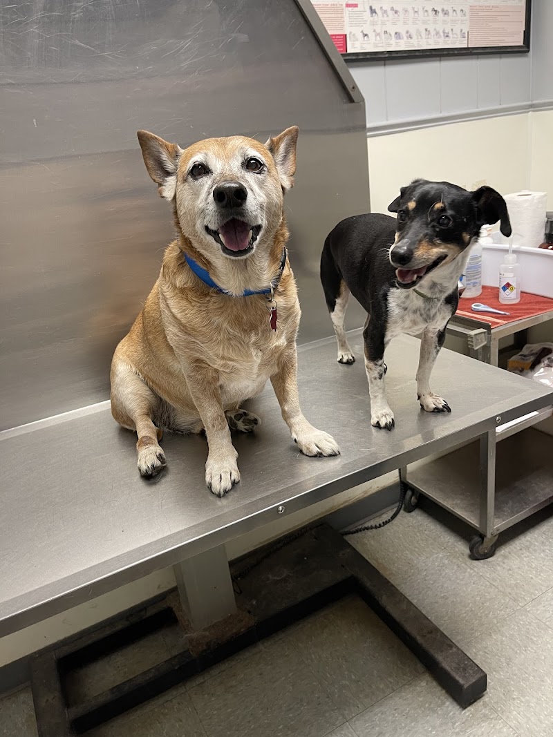 Crosby Veterinary Clinic