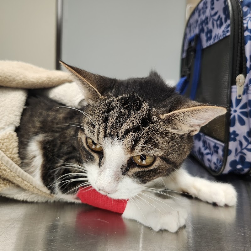 Crosby Veterinary Clinic