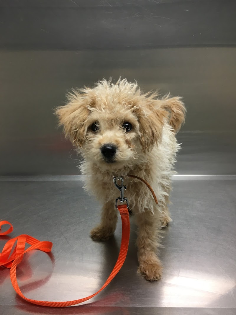 Crosby Veterinary Clinic