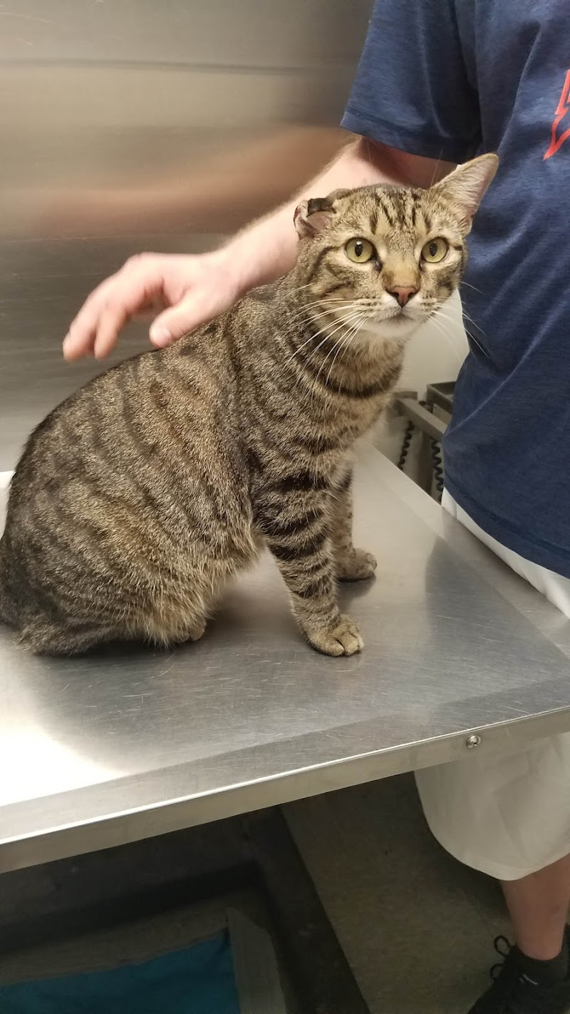 Crosby Veterinary Clinic