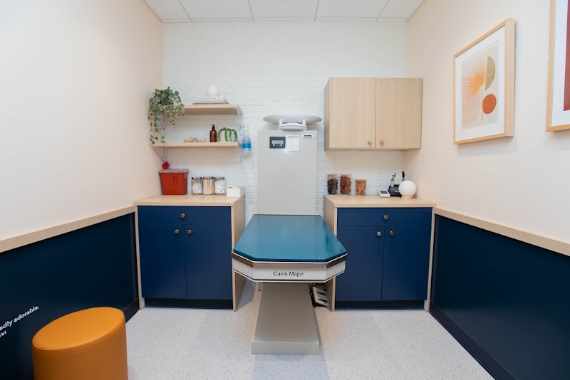 Bond Vet - Kips Bay
