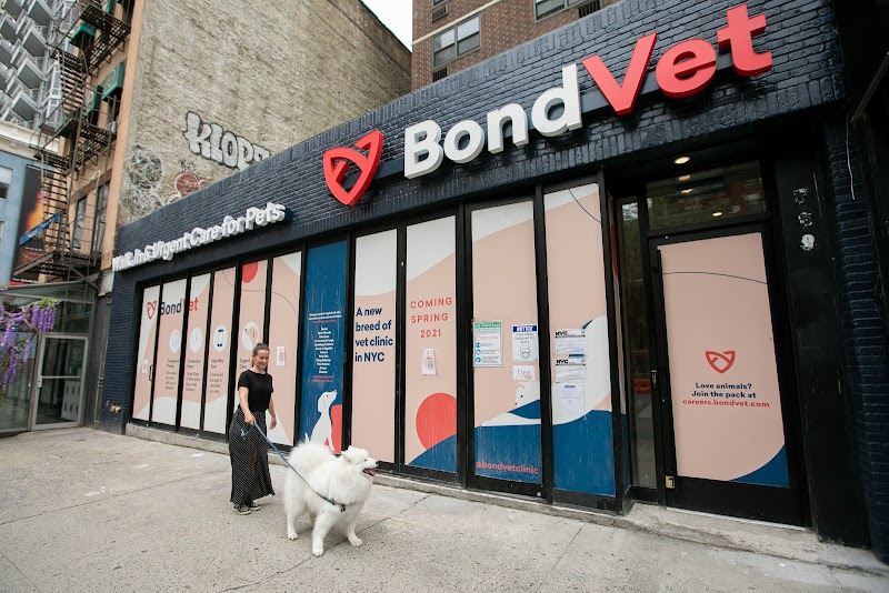 Bond Vet - Kips Bay