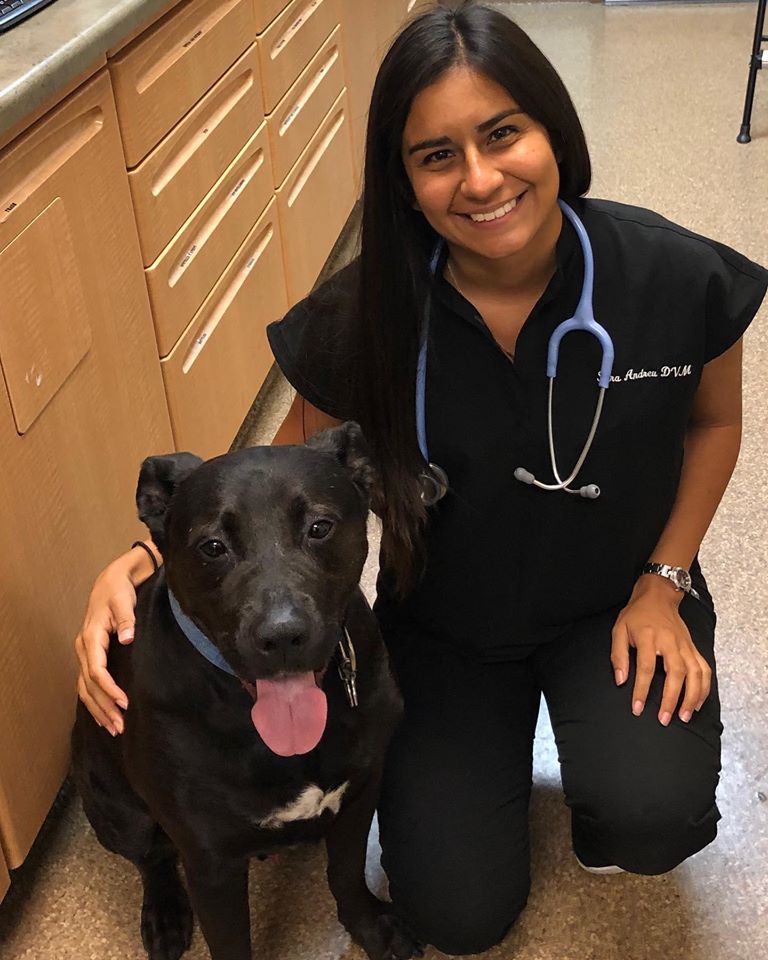 Hyde Park Animal Hospital -Stony Island