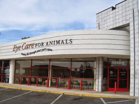 Eye Care for Animals - San Diego