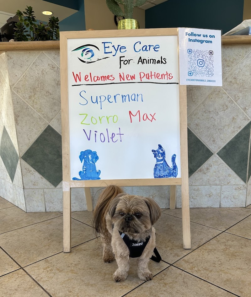 Eye Care for Animals - San Diego