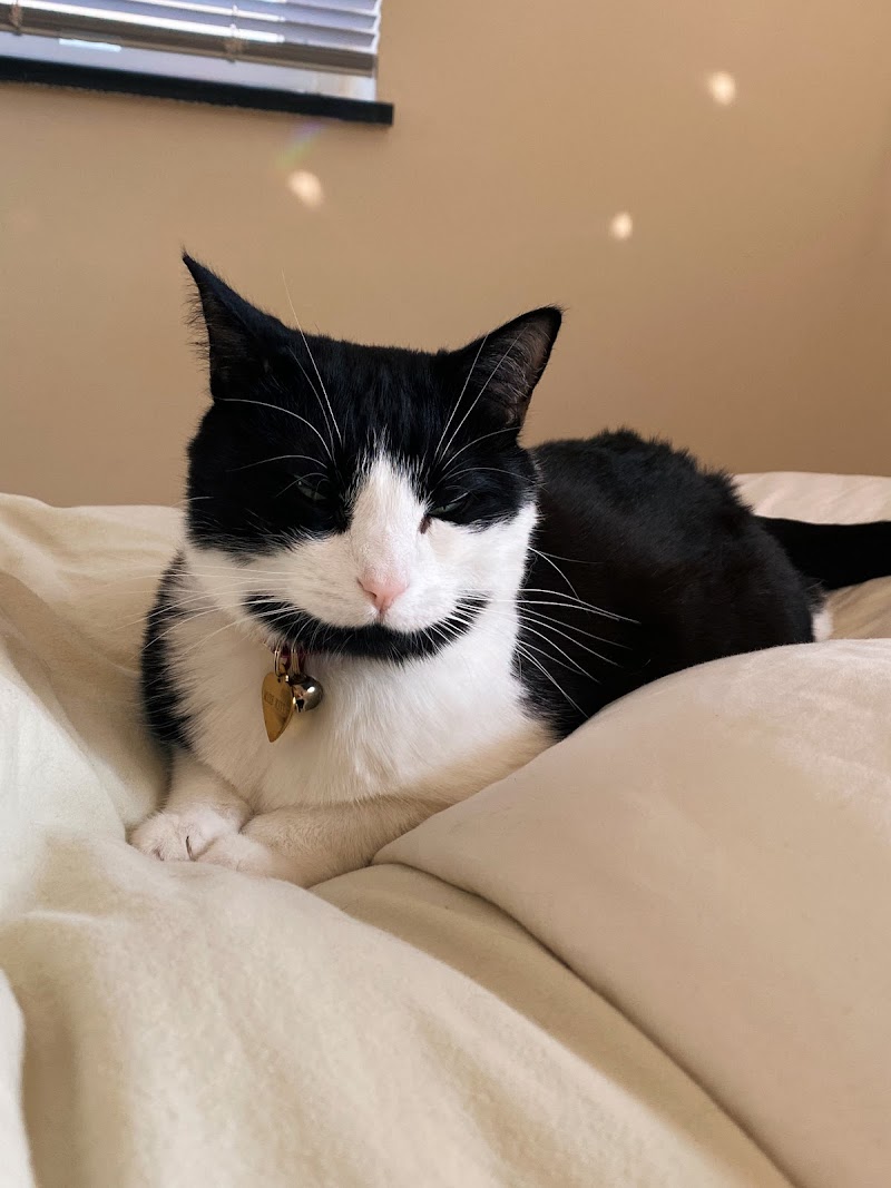 Small Door Veterinary - Newton Centre