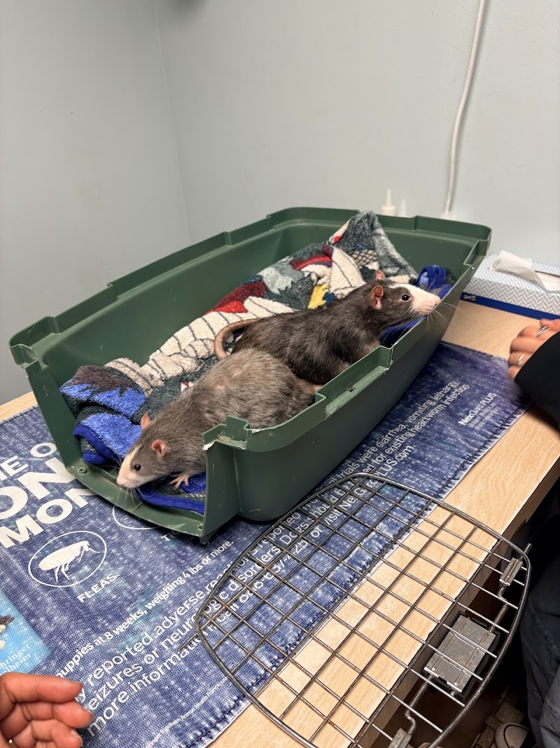 Niles Animal Hospital
