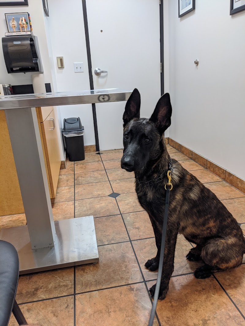 VCA Animal Medical Center of Southern California