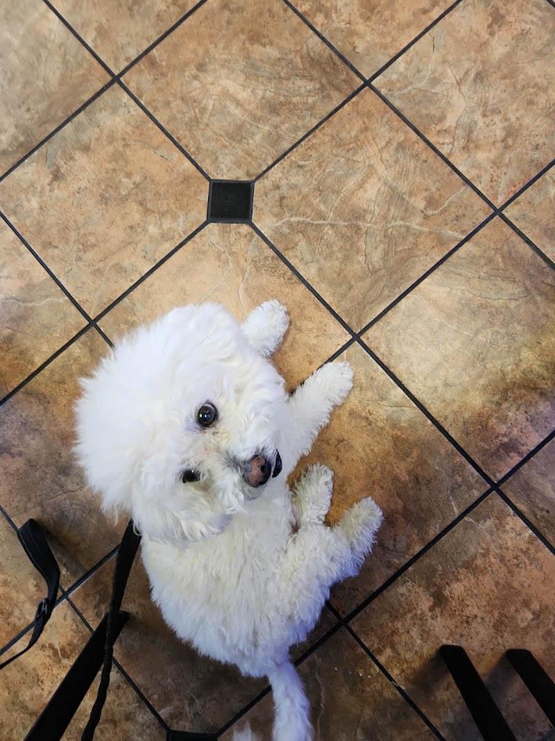 VCA Animal Medical Center of Southern California