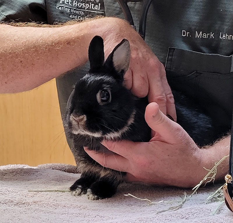 South Hyland Pet Hospital