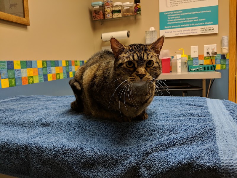 South Hyland Pet Hospital