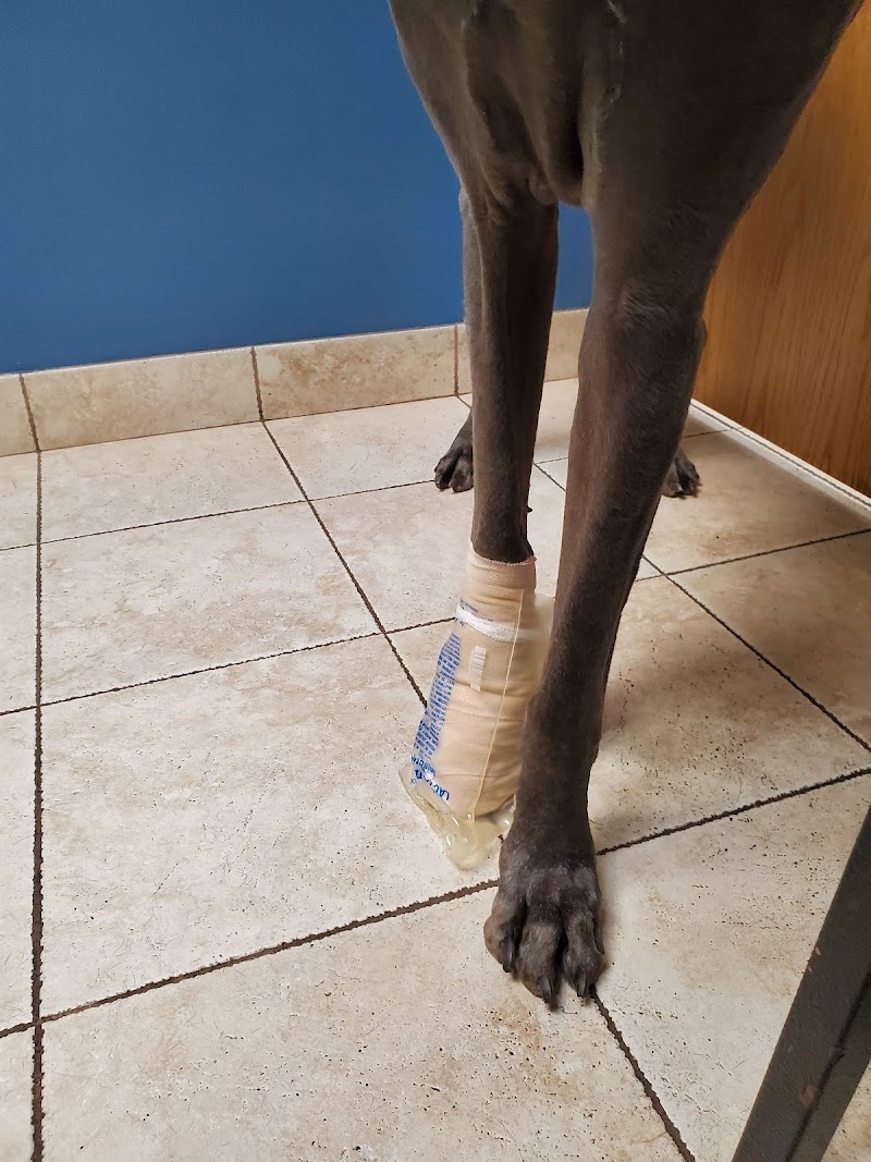 South Hyland Pet Hospital