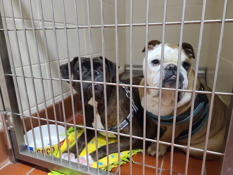 South Hyland Pet Hospital