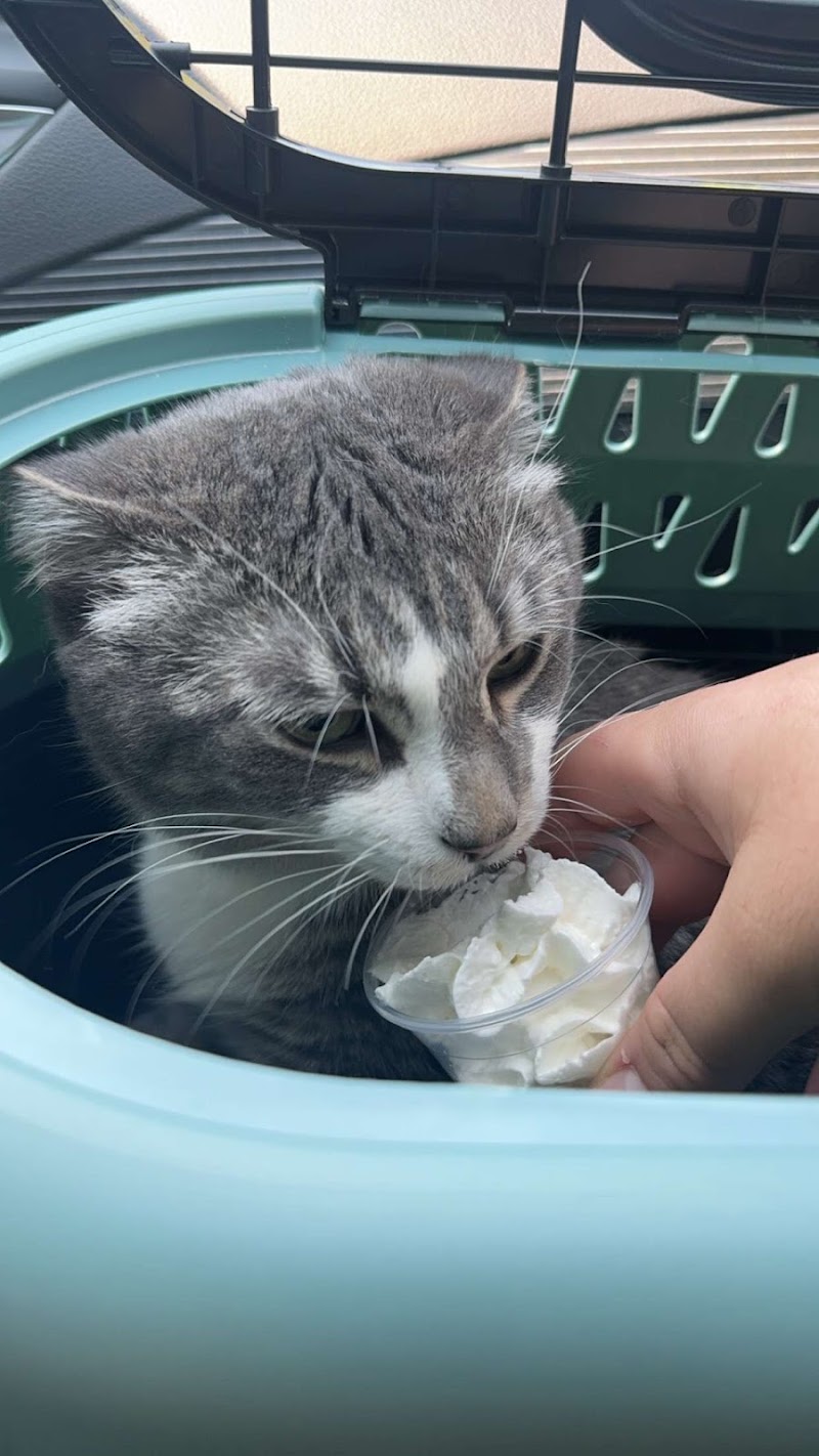 South Hyland Pet Hospital