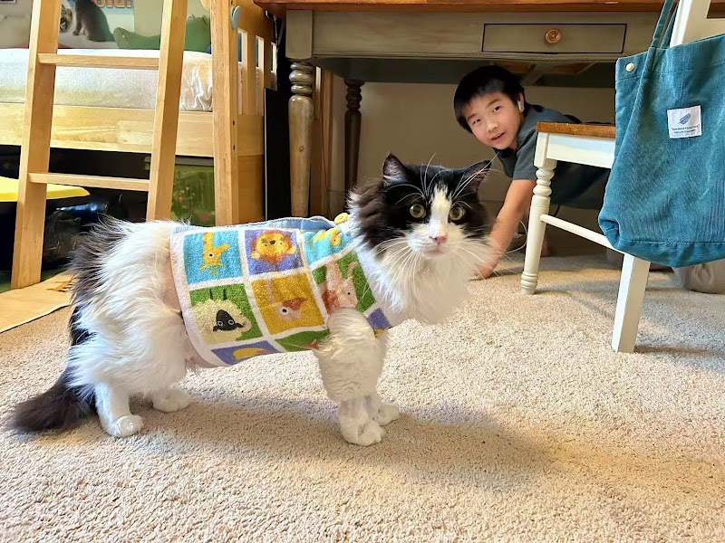Pacific and Santa Cruz Veterinary Specialists