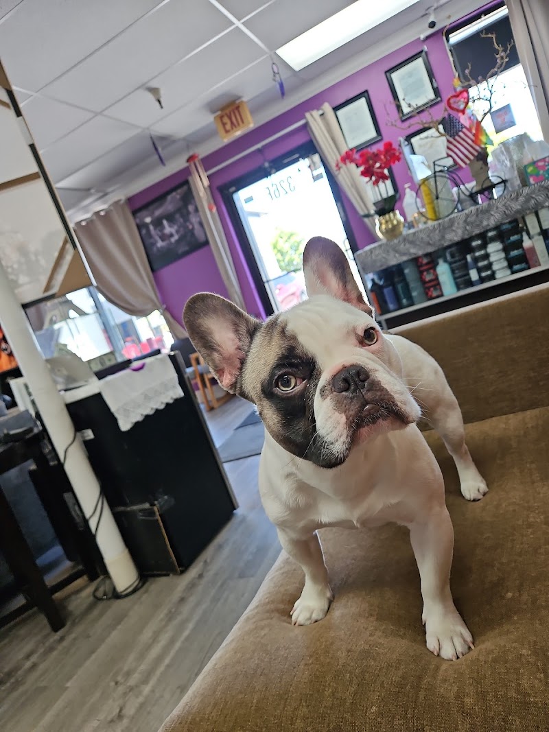 Pacific and Santa Cruz Veterinary Specialists