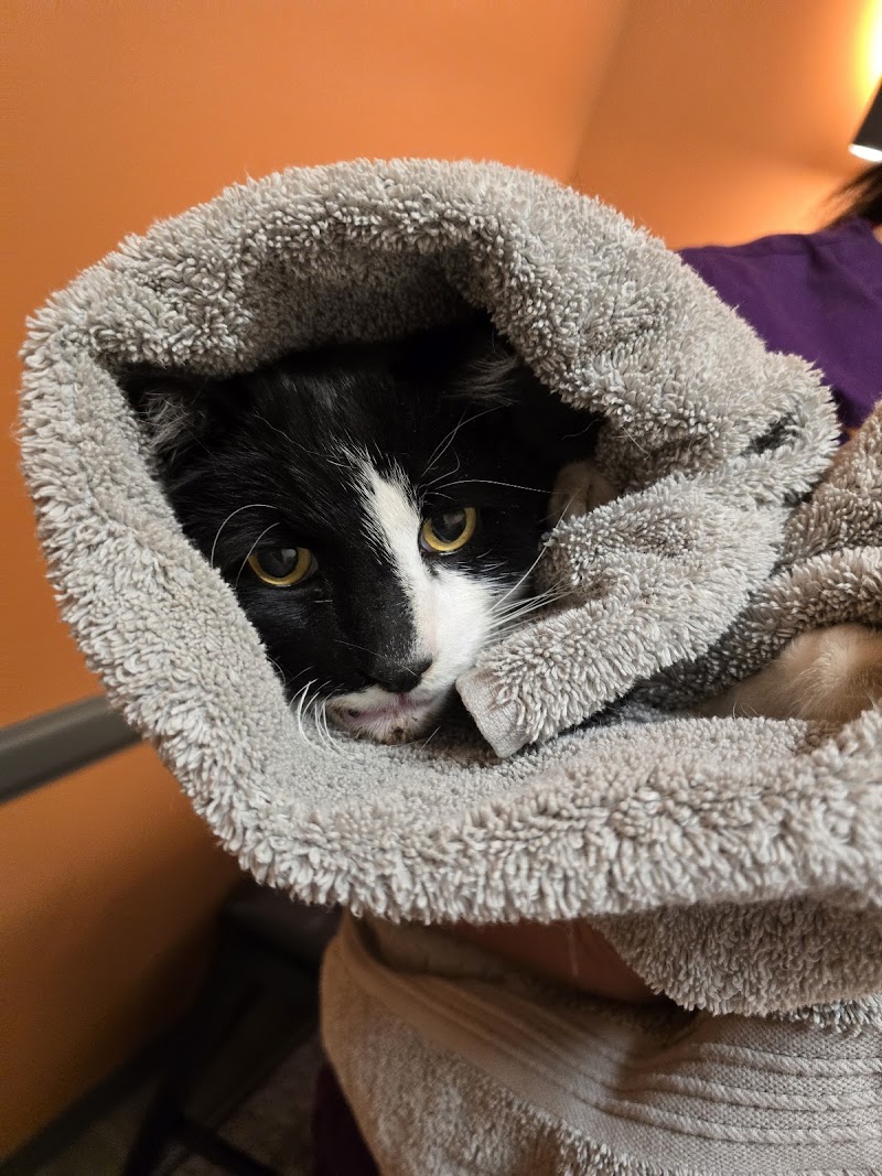 Veterinary Center of Parker, Inc.