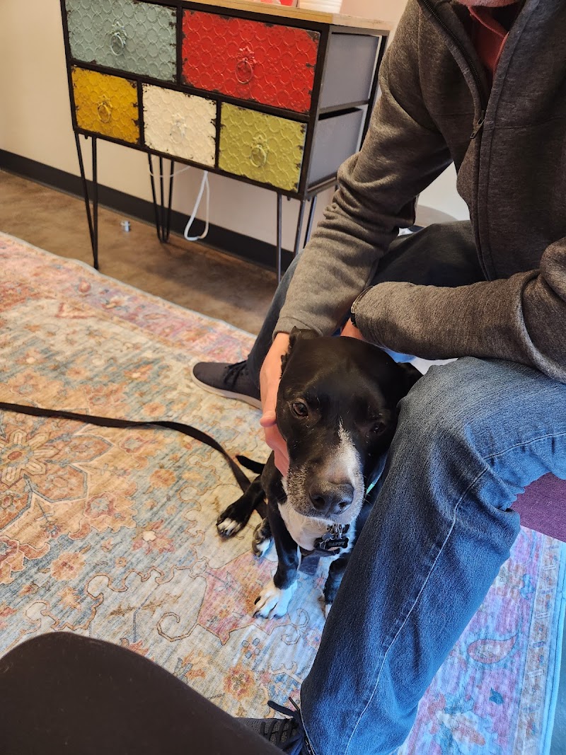 Veterinary Center of Parker, Inc.