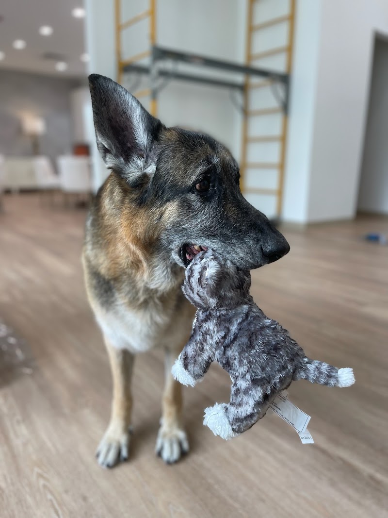 Animal Cancer and Referral Center