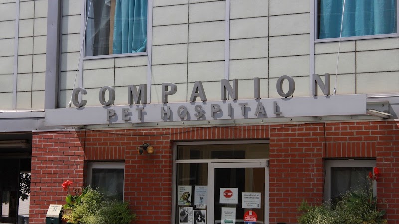 Companion Pet Hospital - Philadelphia