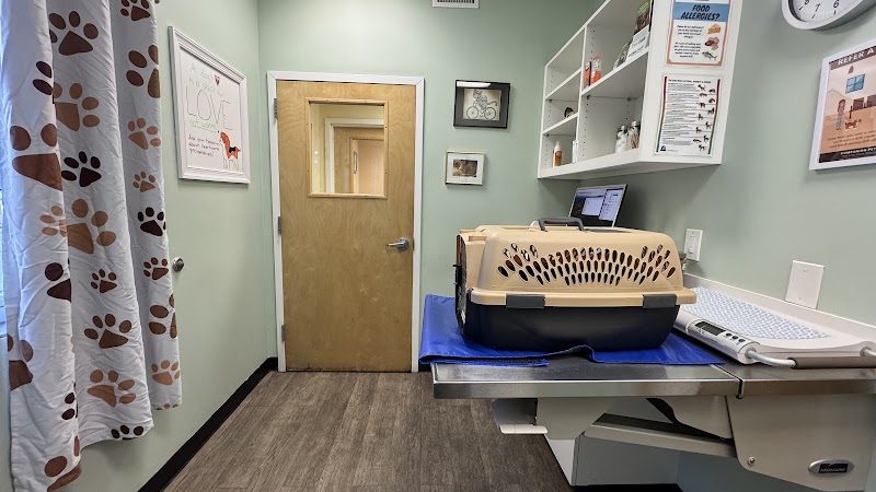 Companion Pet Hospital