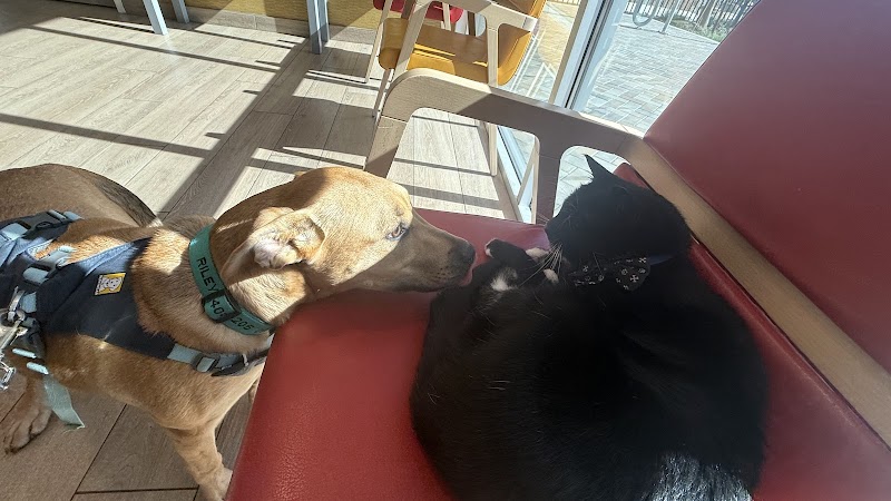 Tama Veterinary Hospital and Urgent Care