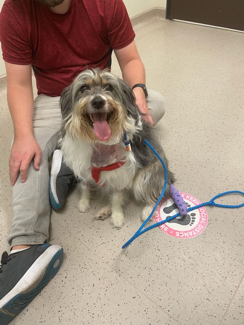 Veterinary Small Animal Hospital (VSAH)